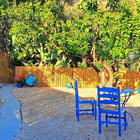 Aegean Serenity - Sea View Retreat Archangelos  Extérieur photo