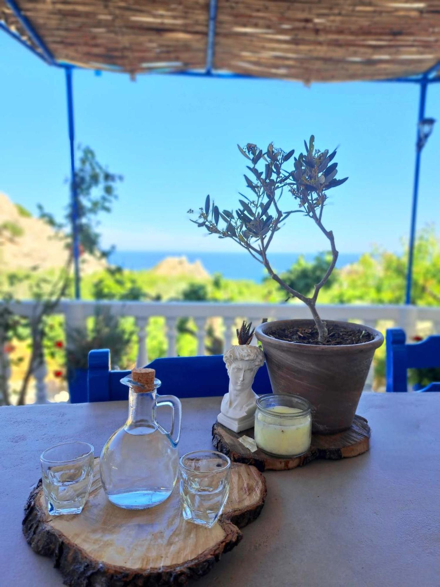 Aegean Serenity - Sea View Retreat Archangelos  Extérieur photo