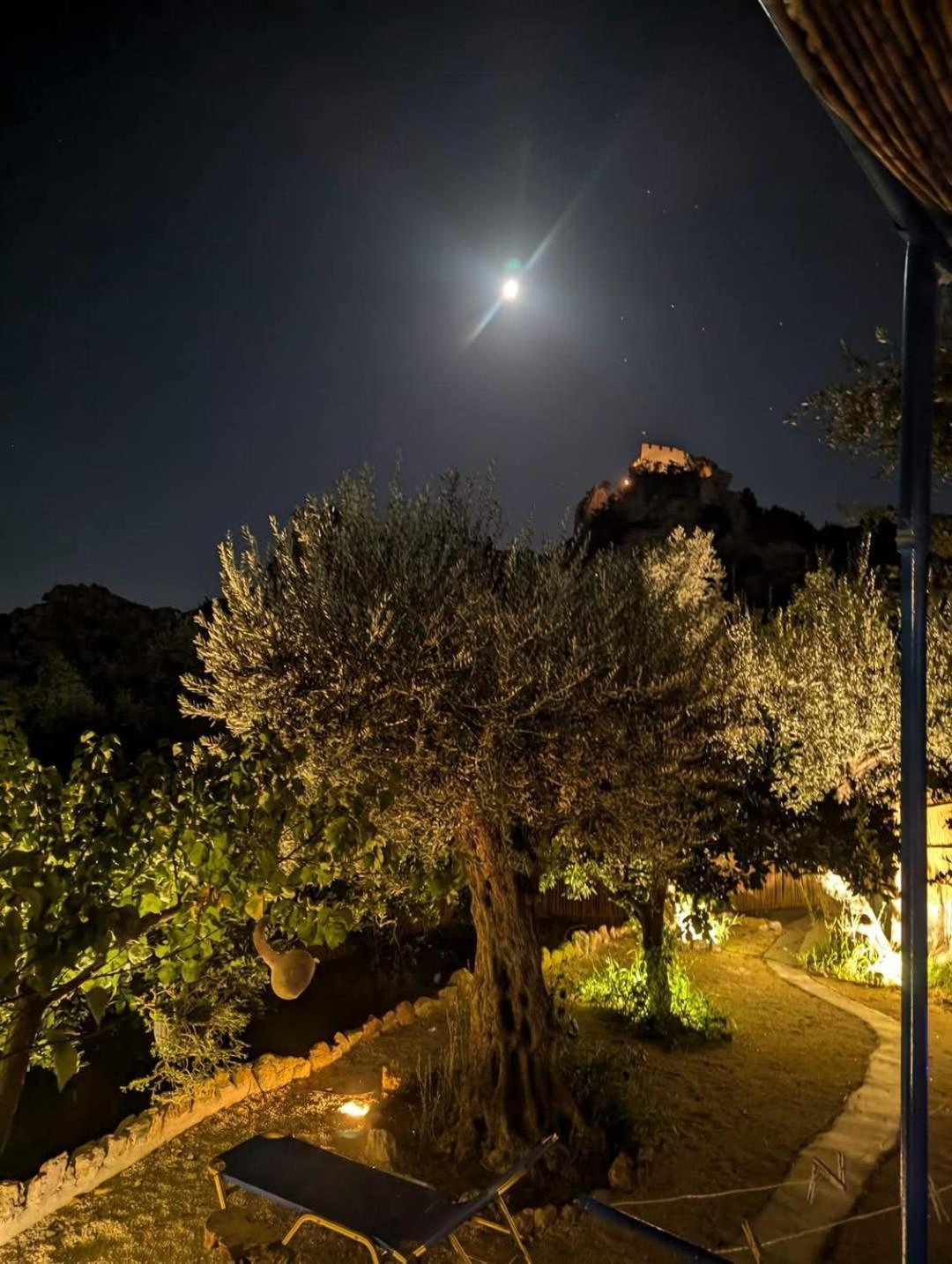 Aegean Serenity - Sea View Retreat Archangelos  Extérieur photo